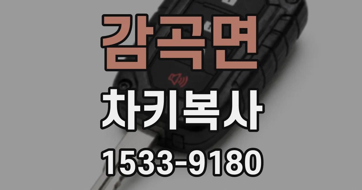 감곡면 차키복사