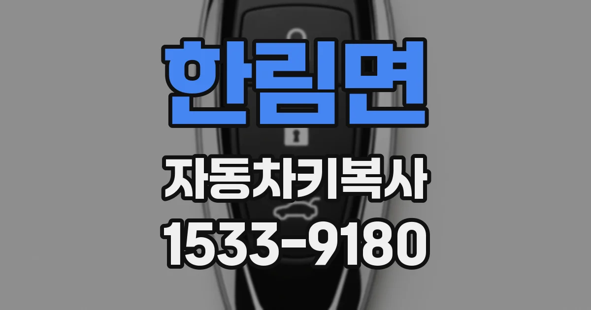 한림면 자동차키복사