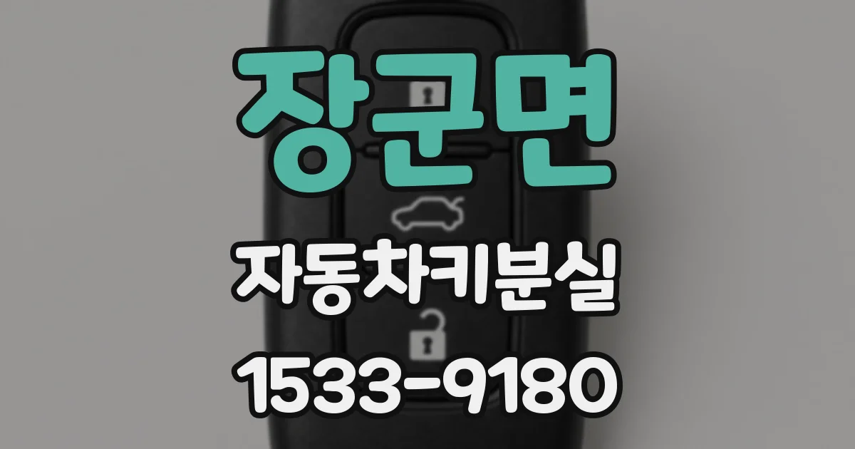 장군면 자동차키분실