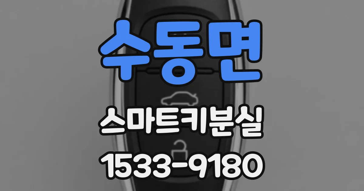 수동면 스마트키분실