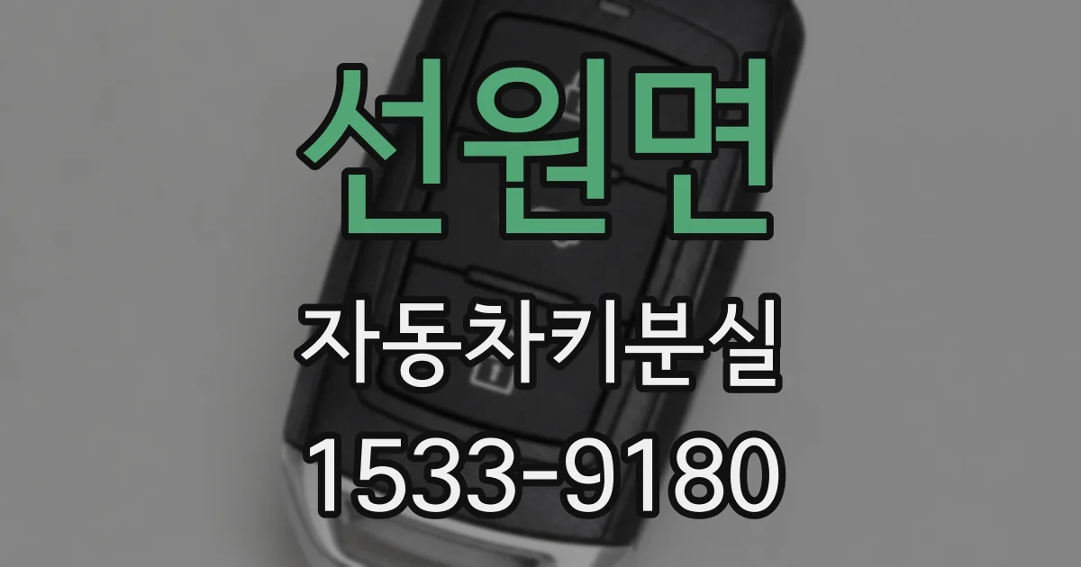 선원면 자동차키분실