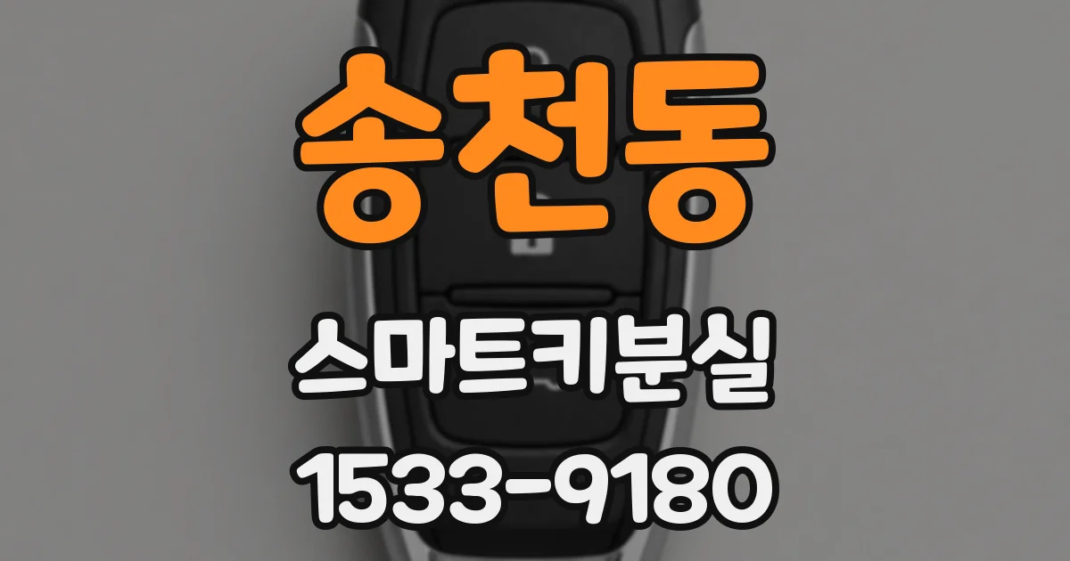 송천동 스마트키분실