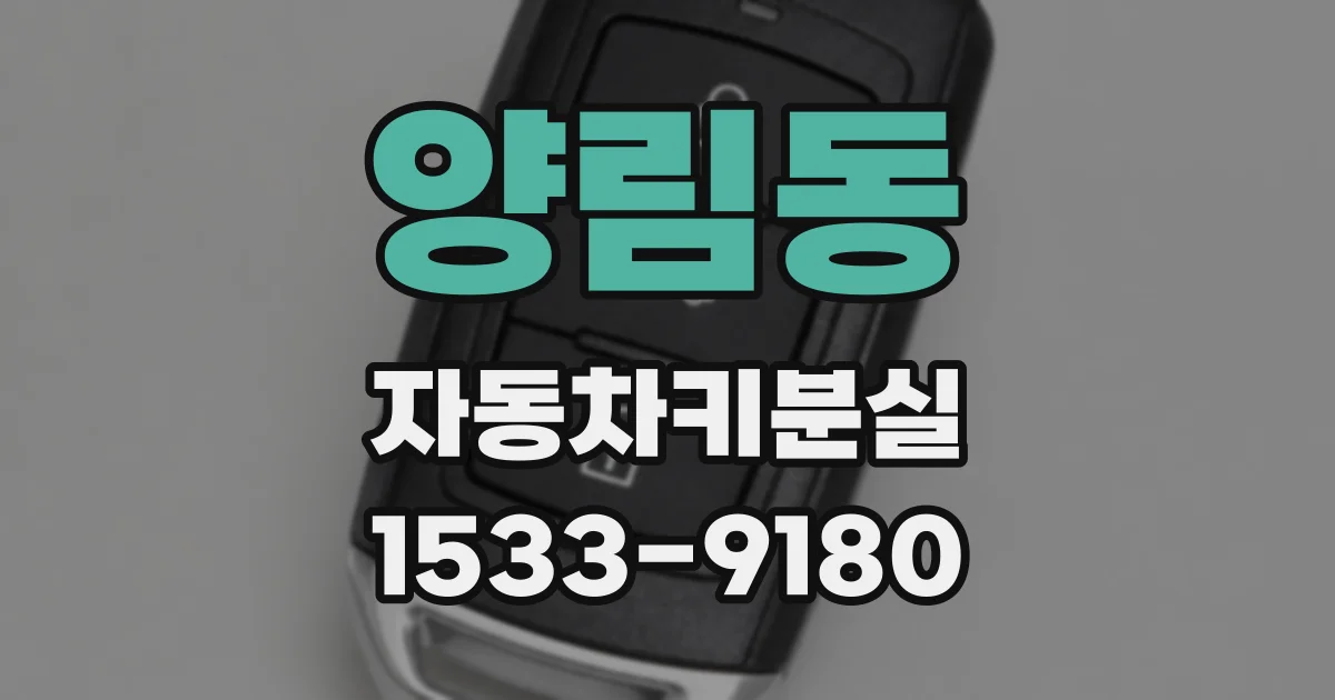 양림동 자동차키분실