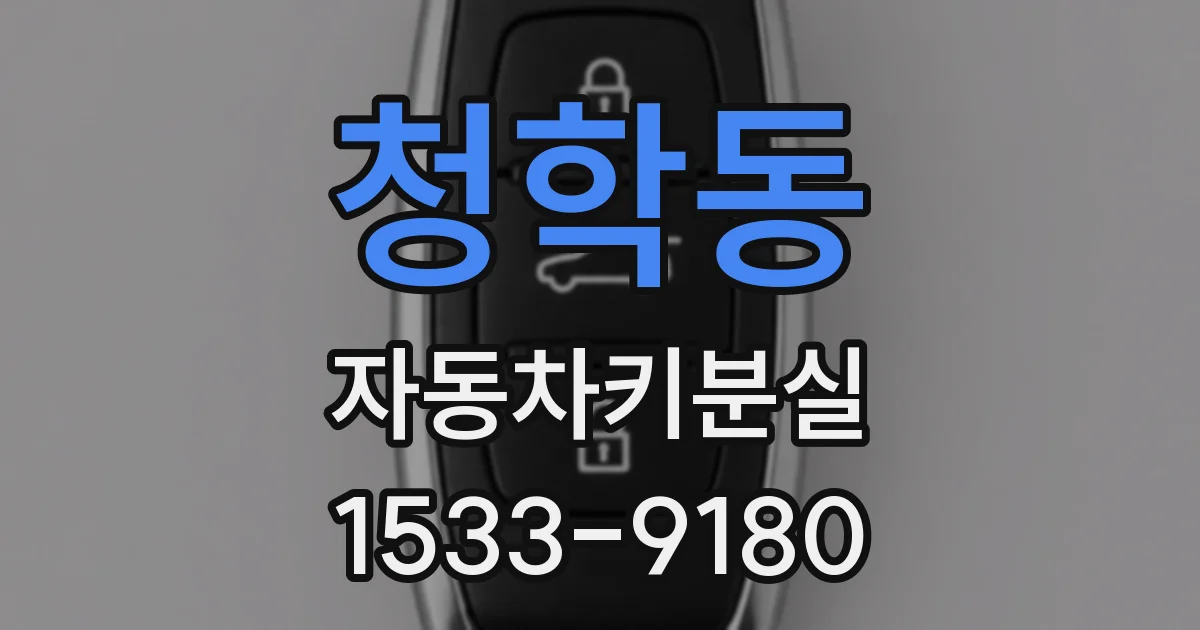 청학동 자동차키분실