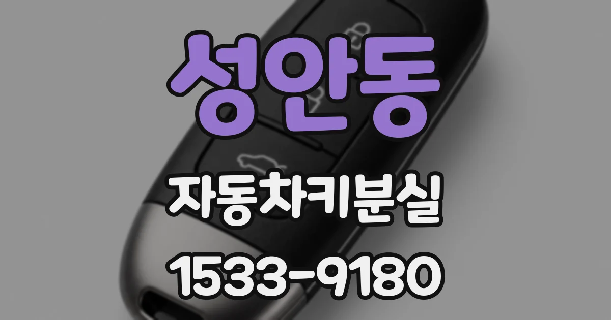 성안동 자동차키분실