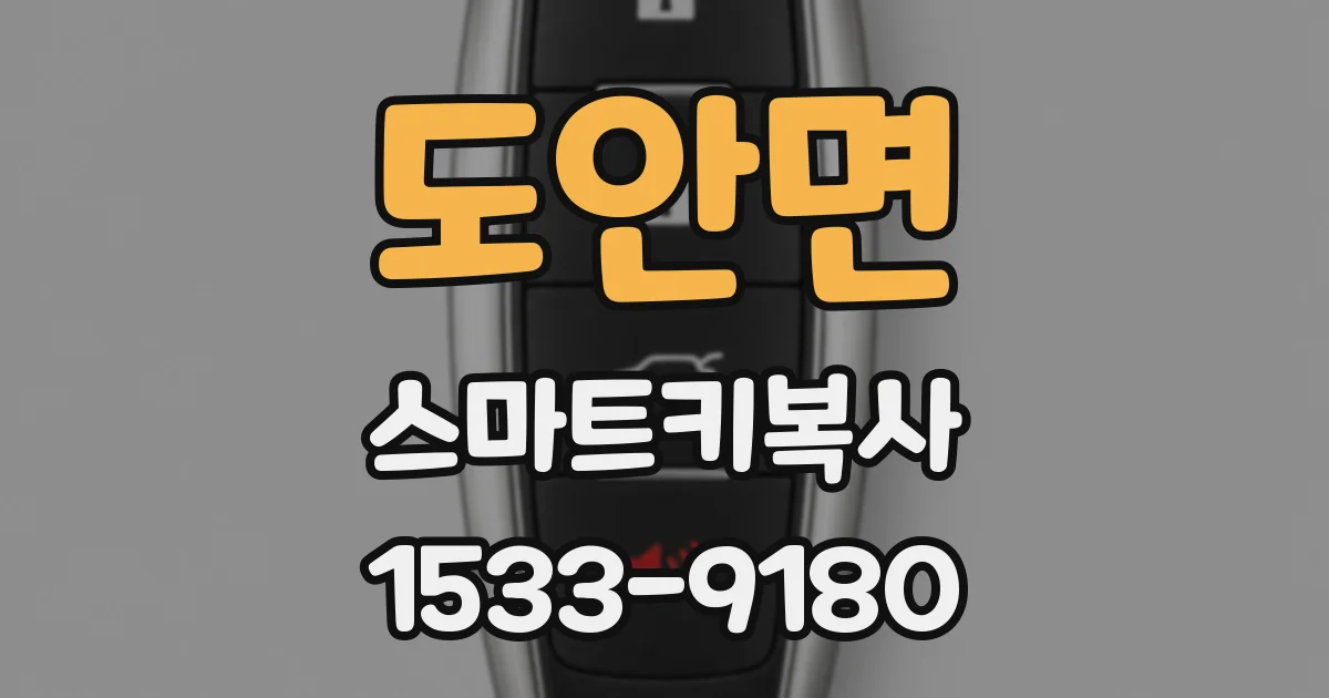 도안면 스마트키복사