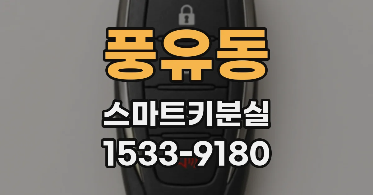 풍유동 스마트키분실