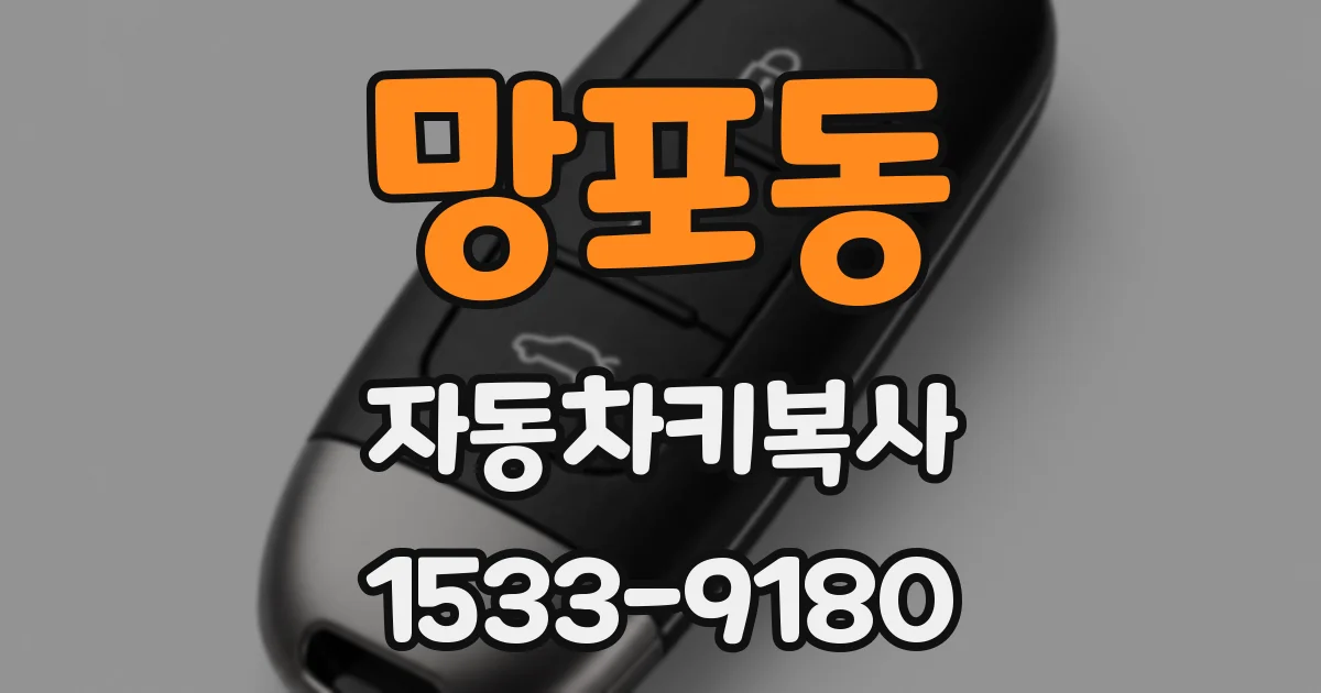 망포동 자동차키복사