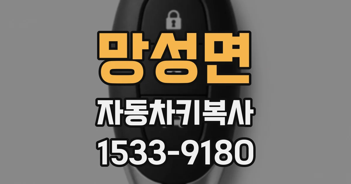 망성면 자동차키복사