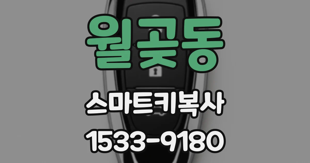 월곶동 스마트키복사