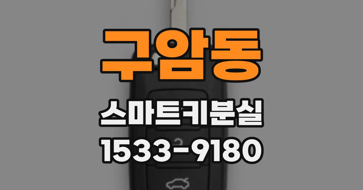 구암동 스마트키분실