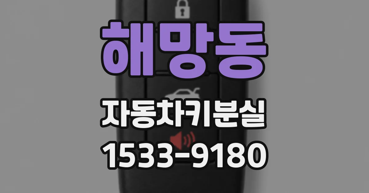 해망동 자동차키분실