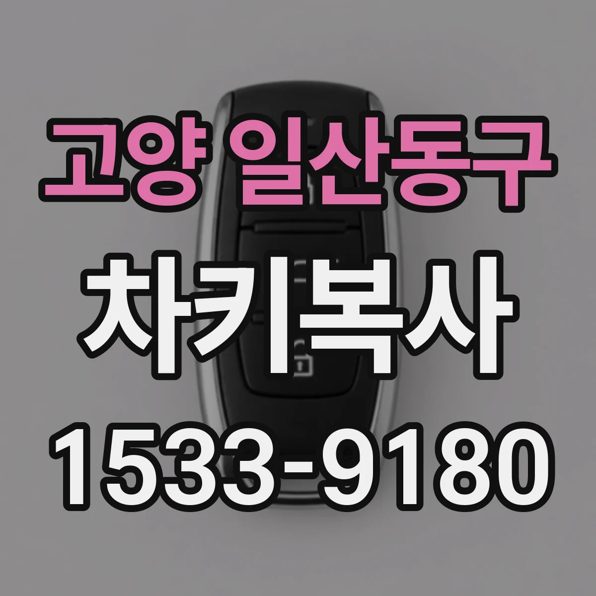 고양 일산동구 차키복사