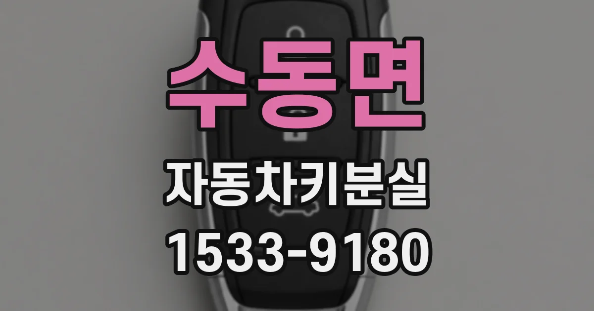 수동면 자동차키분실
