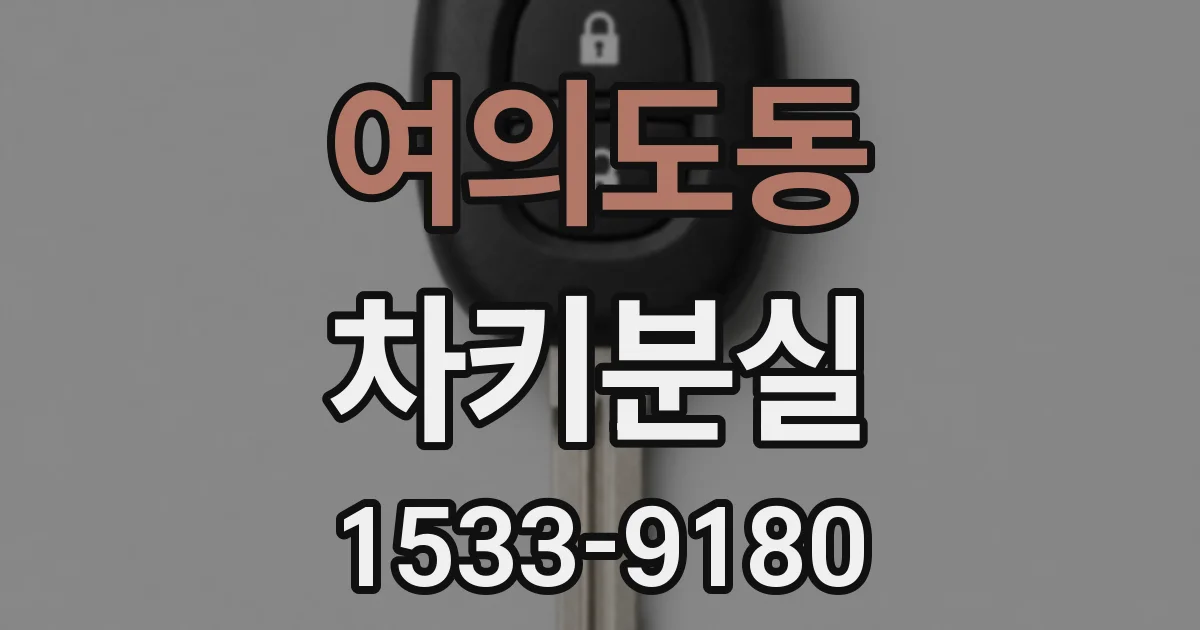 여의도동 차키분실