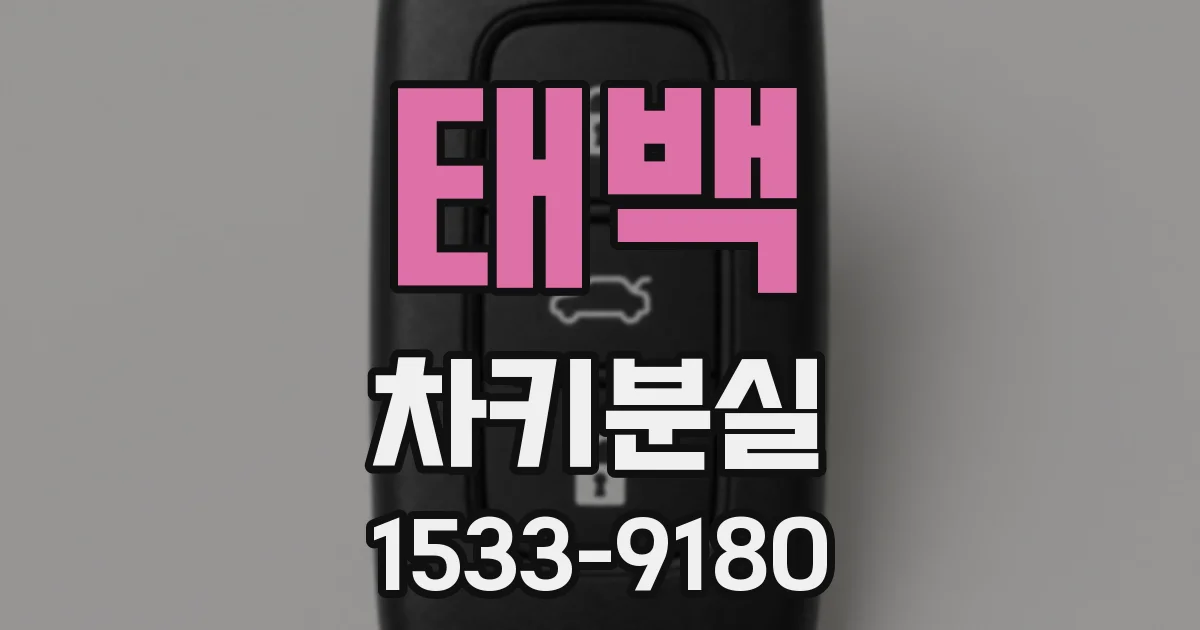 태백 차키분실