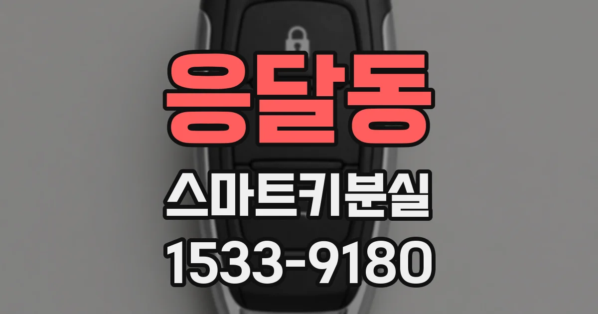 응달동 스마트키분실