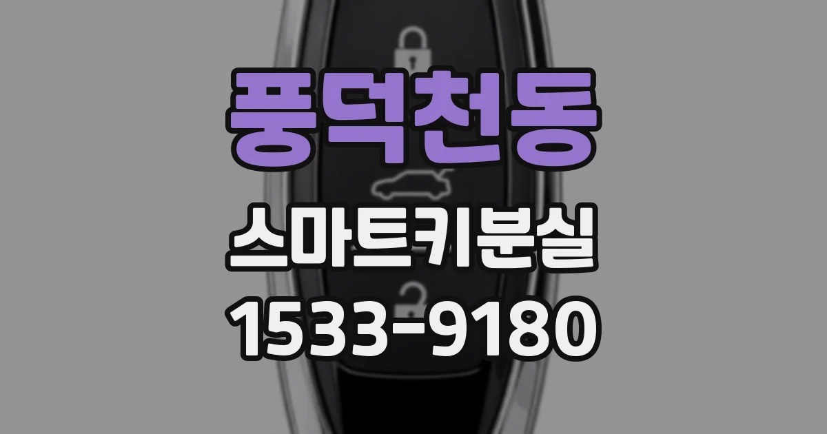 풍덕천동 스마트키분실