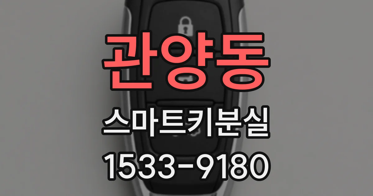 관양동 스마트키분실