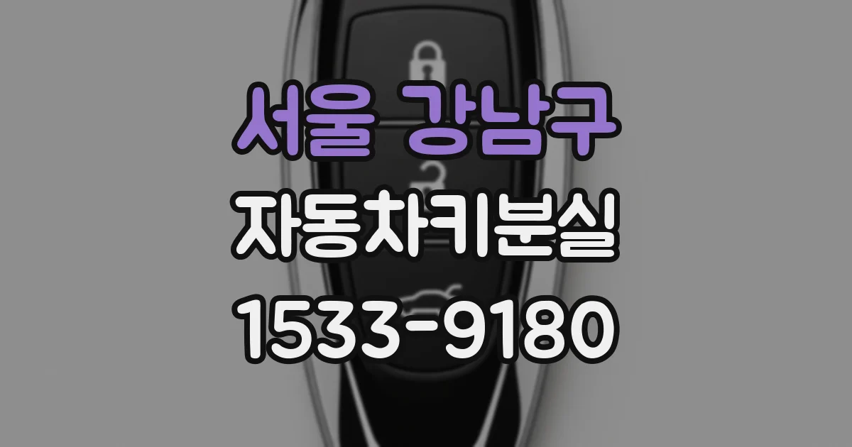 서울 강남구 자동차키분실