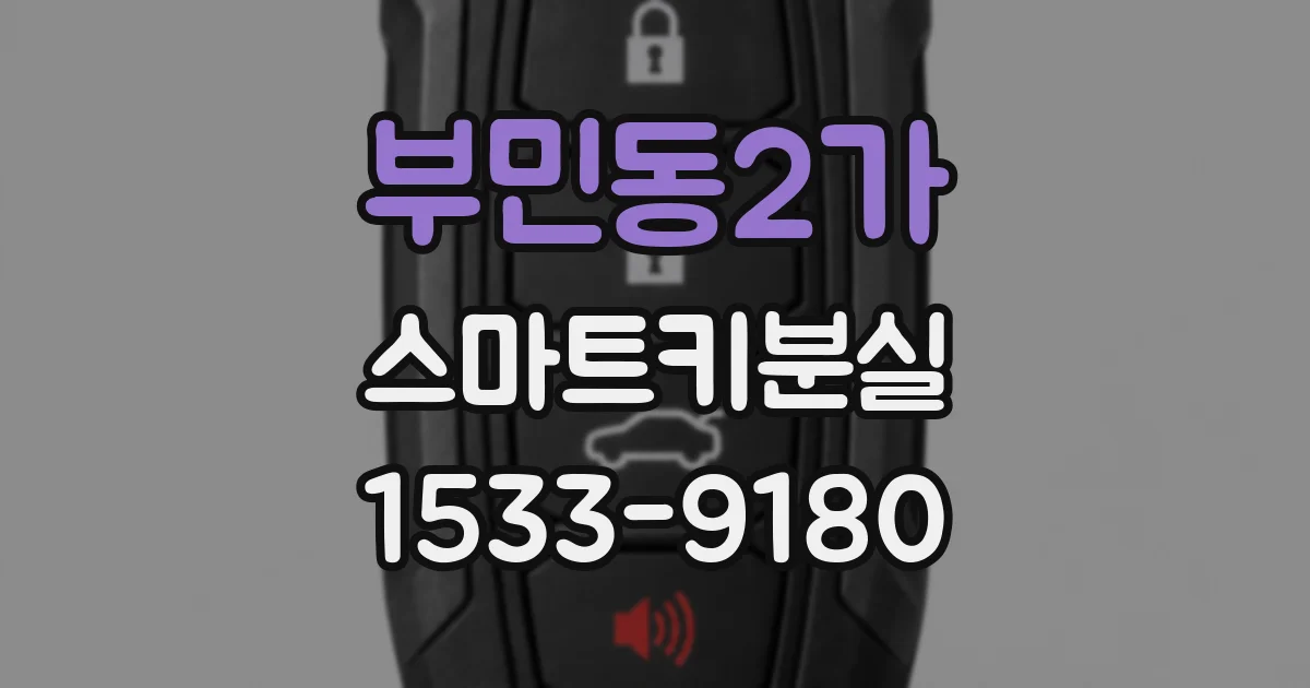 부민동2가 스마트키분실