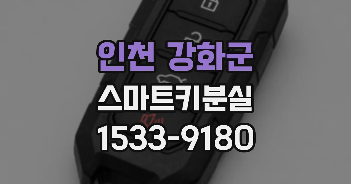 인천 강화군 스마트키분실