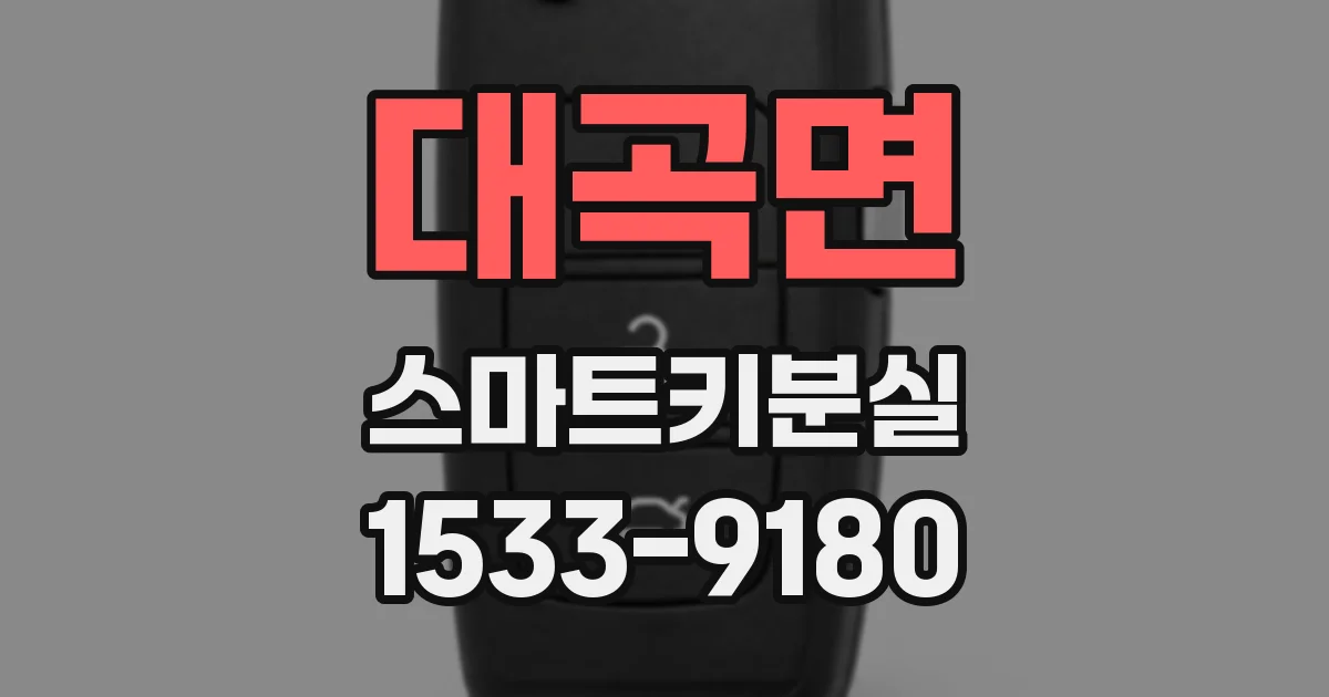 대곡면 스마트키분실