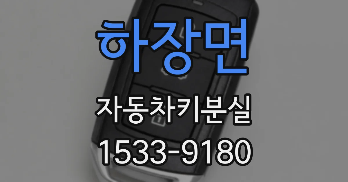 하장면 자동차키분실