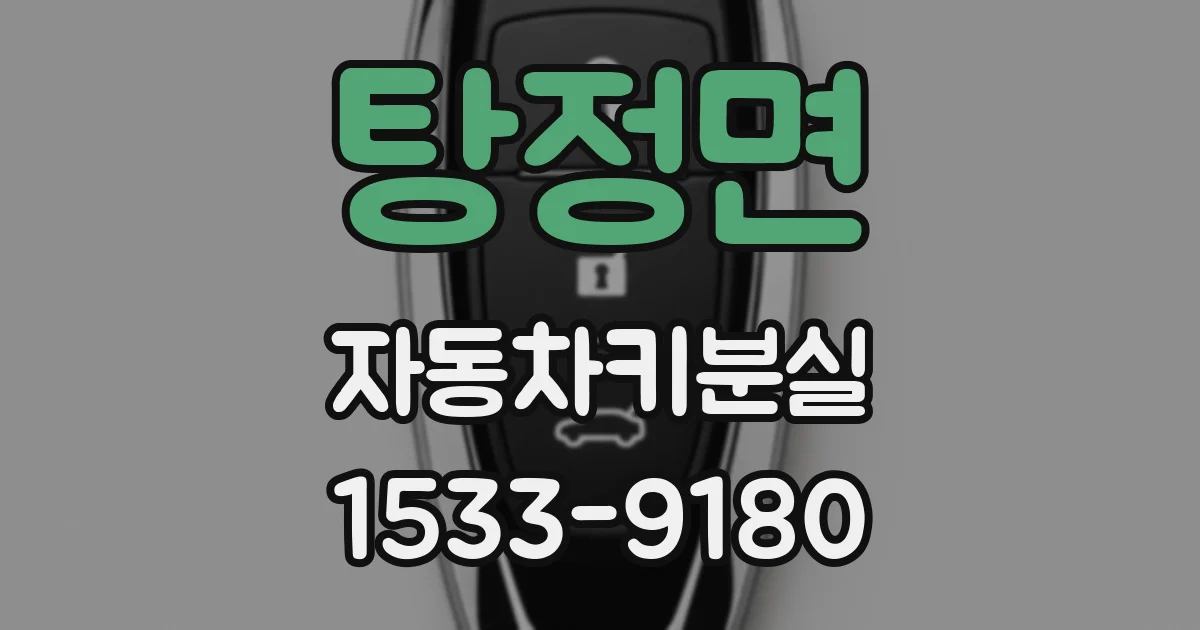탕정면 자동차키분실