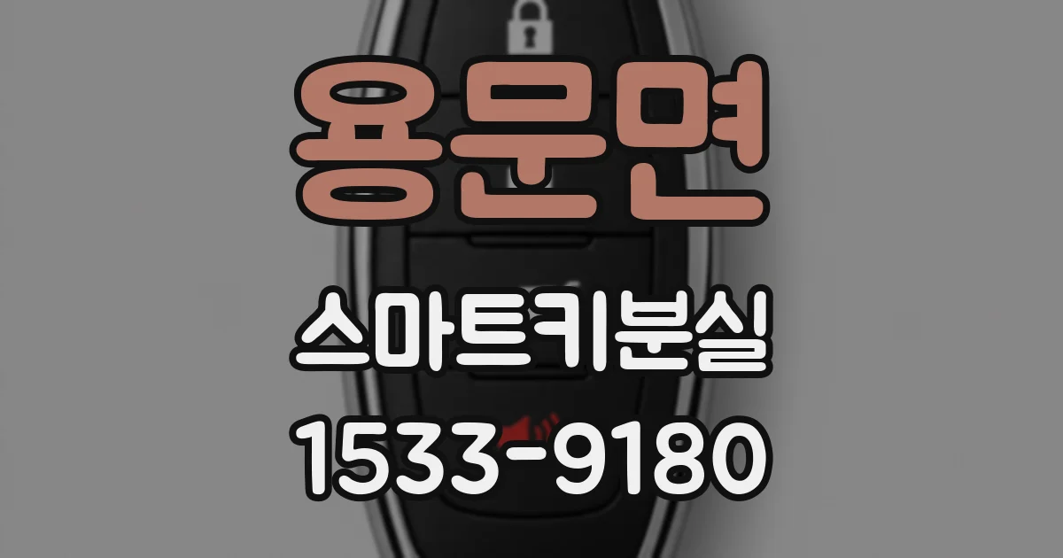 용문면 스마트키분실
