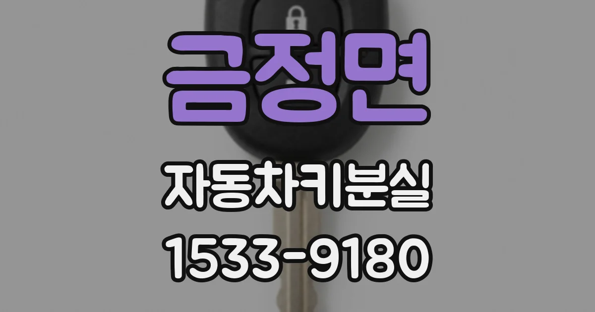 금정면 자동차키분실