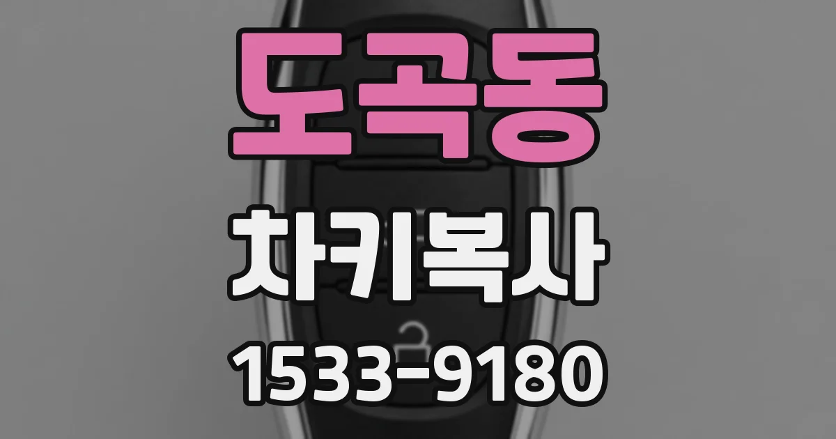 도곡동 차키복사