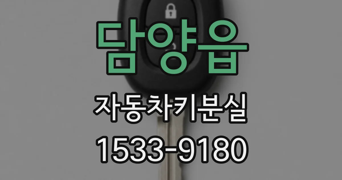 담양읍 자동차키분실