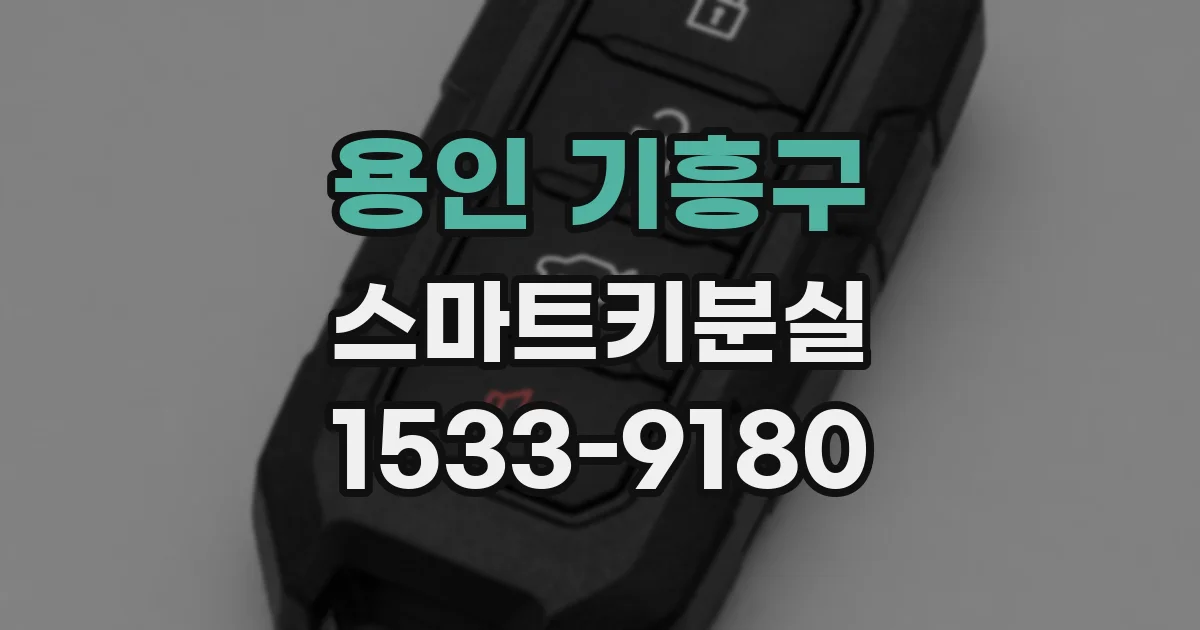 용인 기흥구 스마트키분실