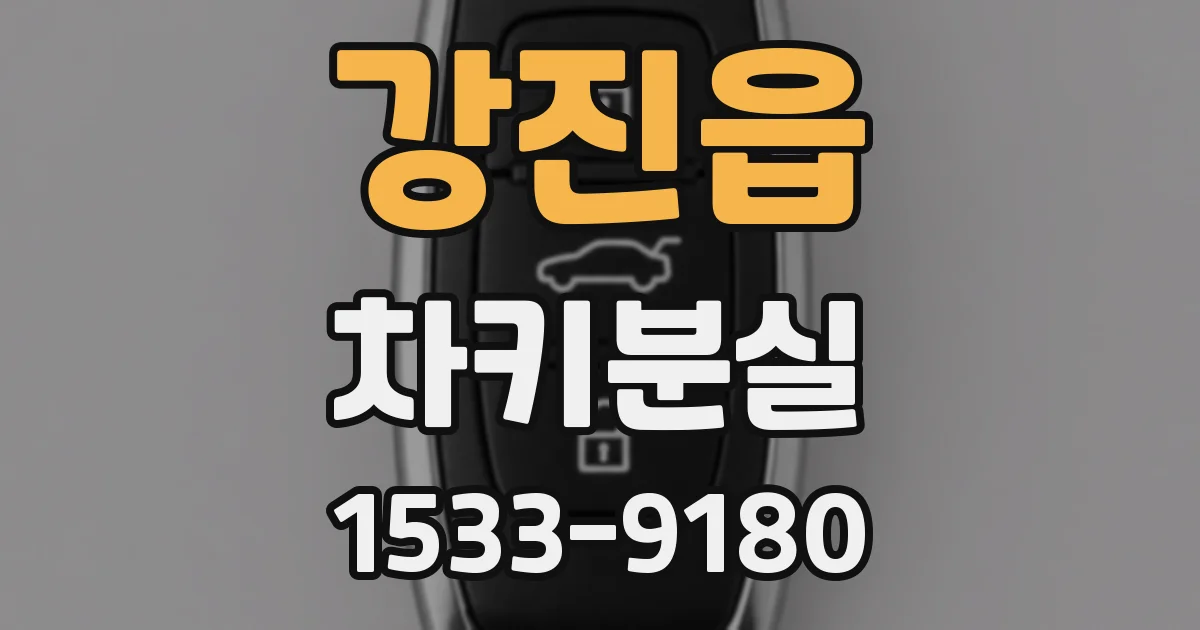 강진읍 차키분실