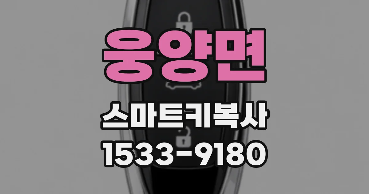 웅양면 스마트키복사