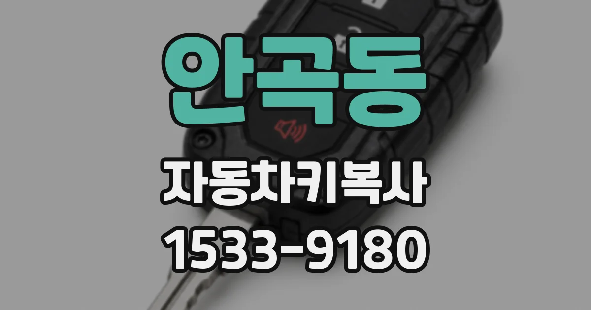 안곡동 자동차키복사