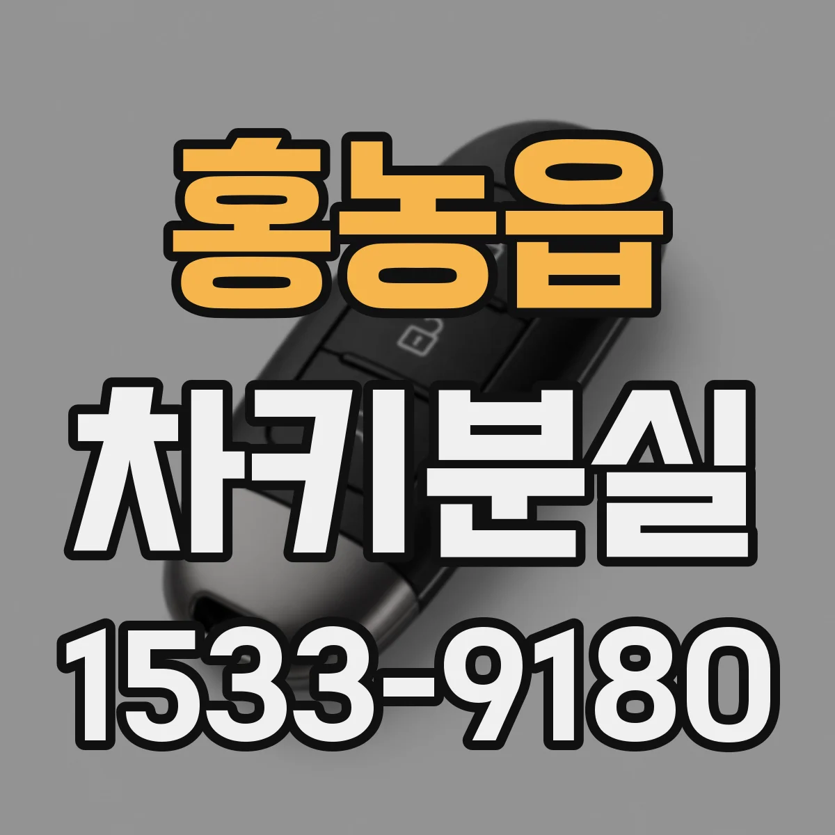 홍농읍 차키분실