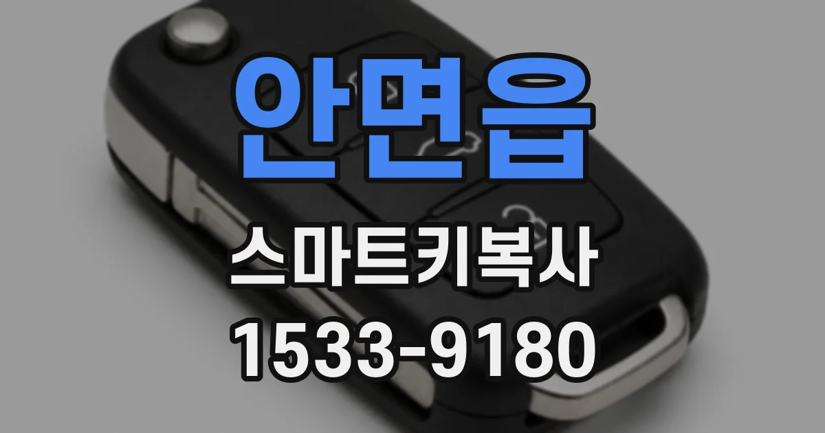 안면읍 스마트키복사