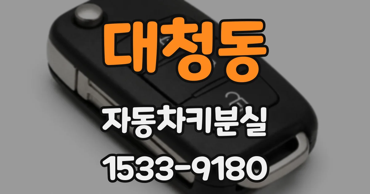 대청동 자동차키분실