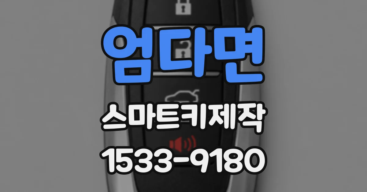 엄다면 스마트키제작