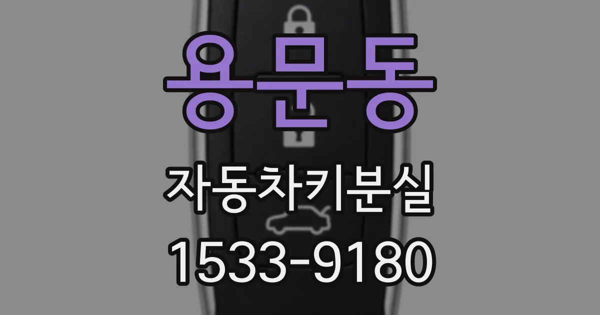 용문동 자동차키분실