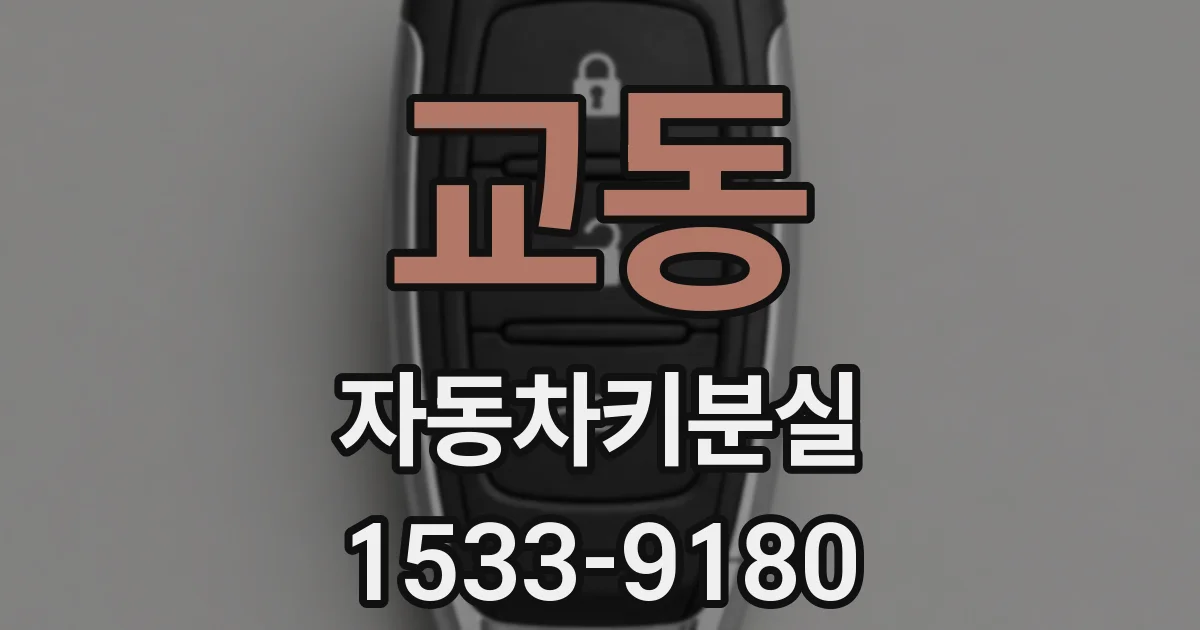 교동 자동차키분실