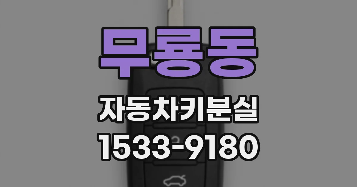 무룡동 자동차키분실