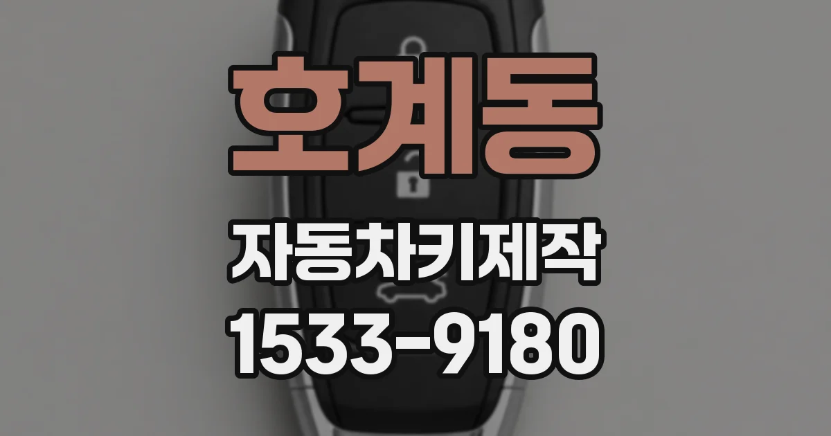 호계동 자동차키제작