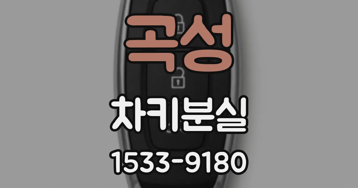 곡성 차키분실