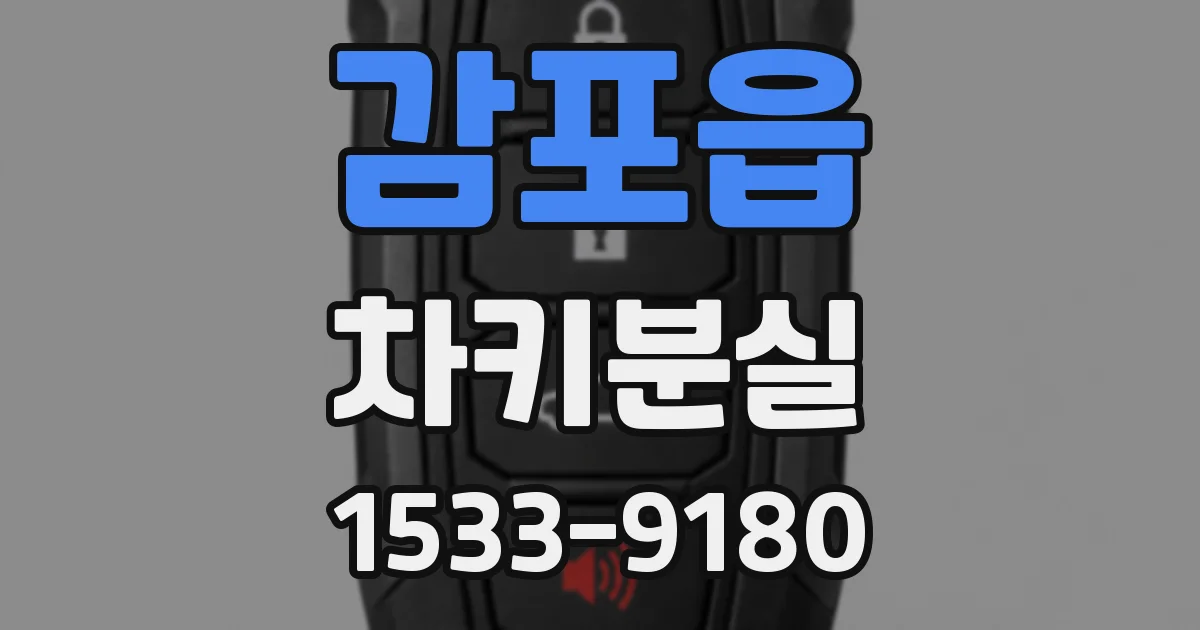 감포읍 차키분실