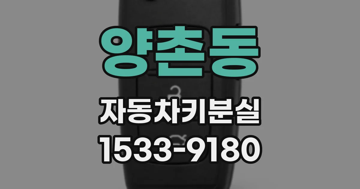 양촌동 자동차키분실