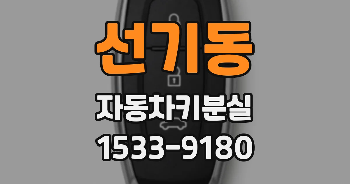 선기동 자동차키분실