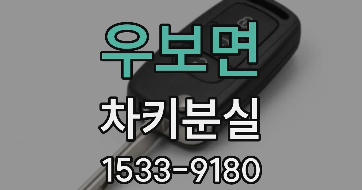 우보면 차키분실